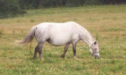 Henriette