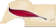 Livre d Or