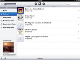 Apple iPad