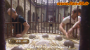 Fort Boyard 2010 - Emission 03 (24/07/2010)