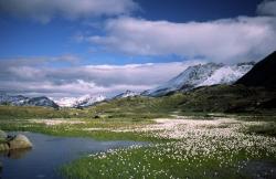 Paysages des alpes