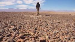 En los altos de Atacama