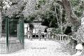 ZOO d'ASSON - 64