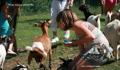 PARC ANIMALIER des PYRENEES - 65 ARGELES GAZOST