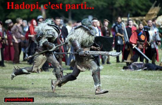 Haro sur le baudet!