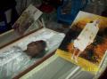 CHAMBRE MORTUAIRE1