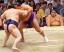 Combat de Sumo