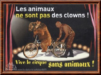 Vive le cirque sans animaux