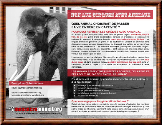 Quel animal choisirait de passer sa vie en captivit�?