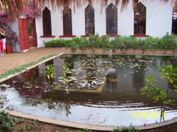 Saly Senegal location maison