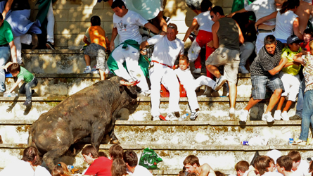 Le taureau dans les gradins