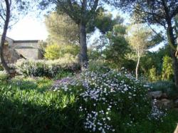 Du fond du jardin, la fa&ccedil;ade expos&eacute;e au sud-est de la villa