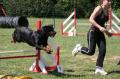 Agility