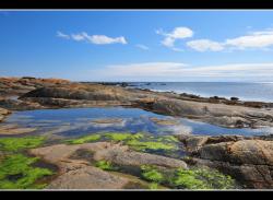 Paysage de Gasp&eacute;sie