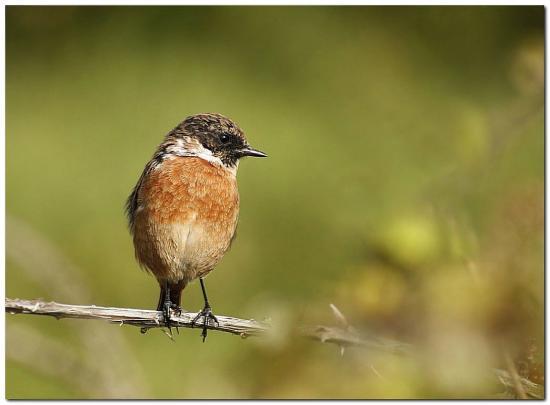 Coin rencontre gironde
