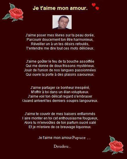 Les mots d Amour Puce