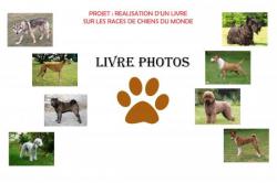 Livre Photos