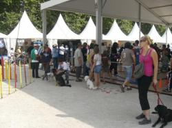 essais pour le public