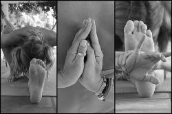 stages yoga stages yoga