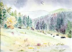 Dans les Vosges