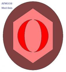 Logo gynécologie AFMGOS / Med-Sein