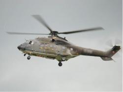 Super Puma display team