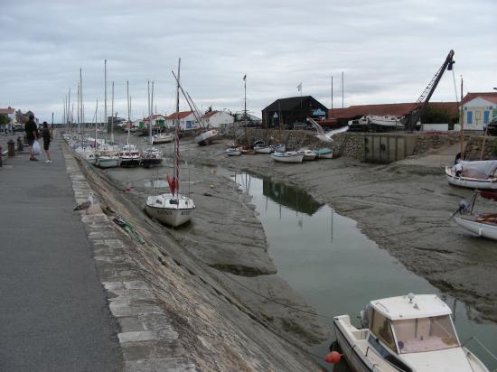 camping le puma couarde sur mer camping le puma couarde sur mer