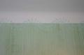 peinture au spalter