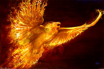 http://s3.e-monsite.com/2010/10/10/05/phoenix-rising-.jpg