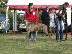 Herween Neuvic 2010