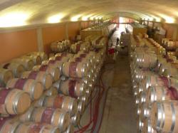 chateau de Puech haut - les barils d' &eacute;levage