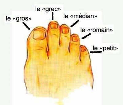 Lail boire le lait des parasites