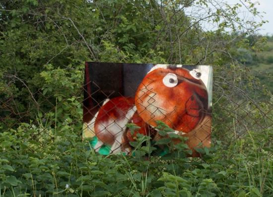 Notre cheval en pleine nature!