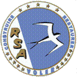 section RSA N° 