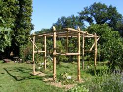 Pergola