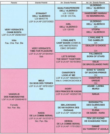 les meilleurs site de rencontres gratuit 2016 metz les meilleurs site de rencontres gratuit 2016 metz