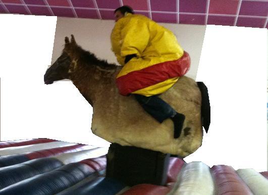 sumo cheval rodeo
