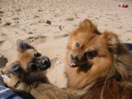 site de rencontre balou