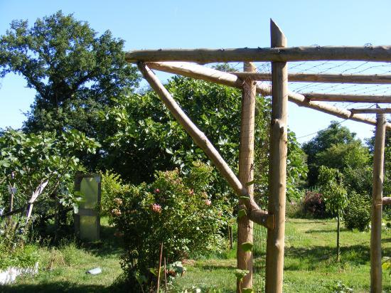 pergola bois pour kiwi