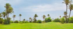 le golf de djerba