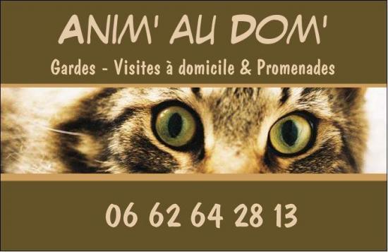 Anim' Au Dom' - Garde et Promenades à Fréjus, St Raphaël, Draguignan