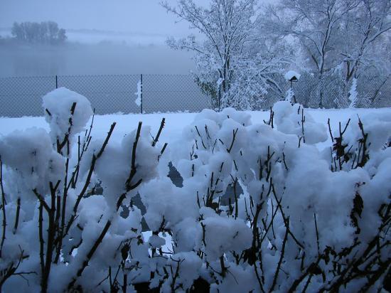 Neige début décembre 2010