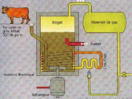L Energie De La Biomasse