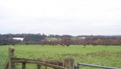 Twyford Farm