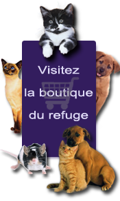Boutique SPA