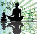 Massage et Bien être - Massage à domicile soiree zen, massage bien être, massage Lyon,le bien être, relaxation massage, massage, la relaxation, réflexologie plantaire, carte réflexologie plantaire, massage assis entreprise, massage a domicile, massage lyon domicile, en harmonie, corps humain,