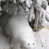 L'ours polaire s'est paumé à St Germain des Près