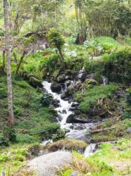 Petite chute d'eau le long d'un chemin