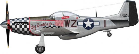 Mustang P-51 D