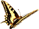 gif l&eacute;pido